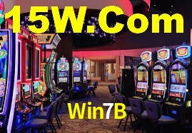 Programa VIP Win7B